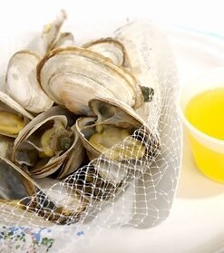 Fresh Steamer Clams!