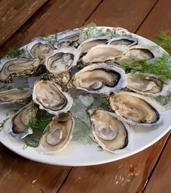 " Moonstone" Oysters!